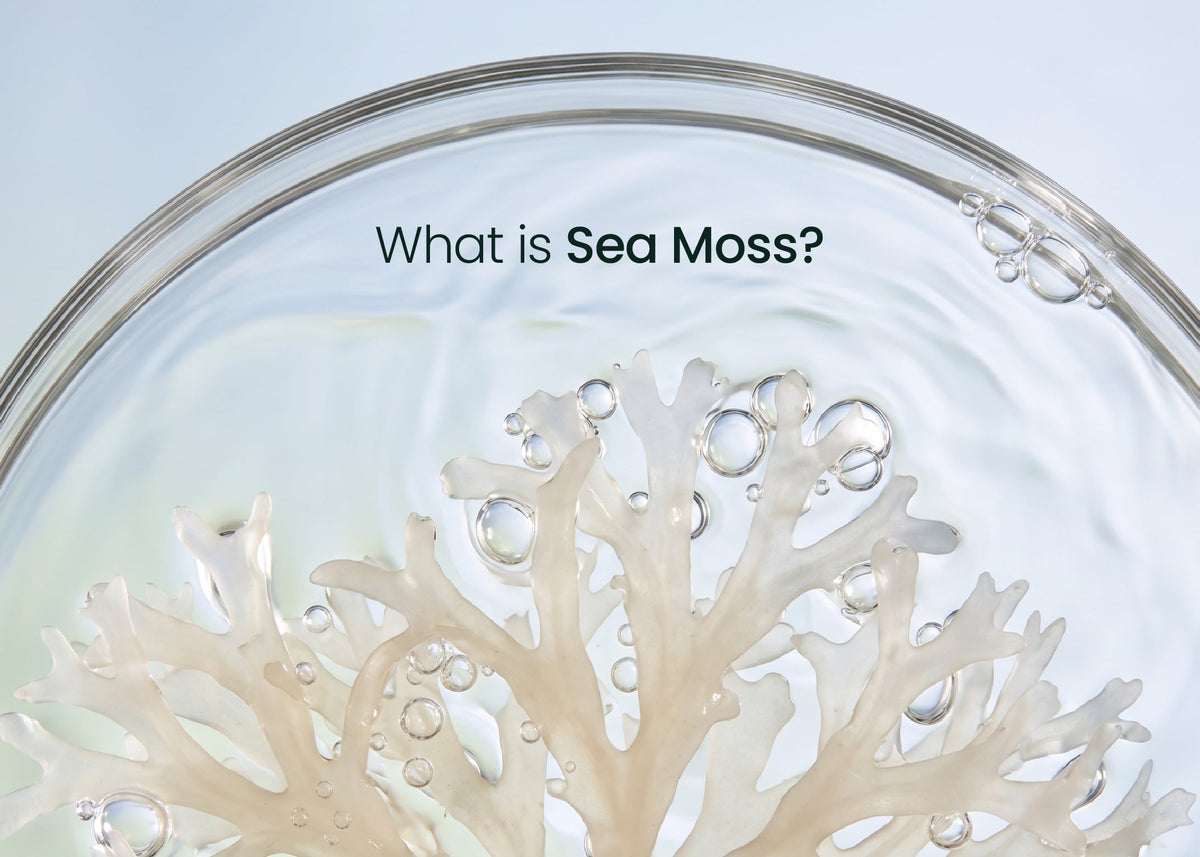 What Sea Moss Can and Can't Do