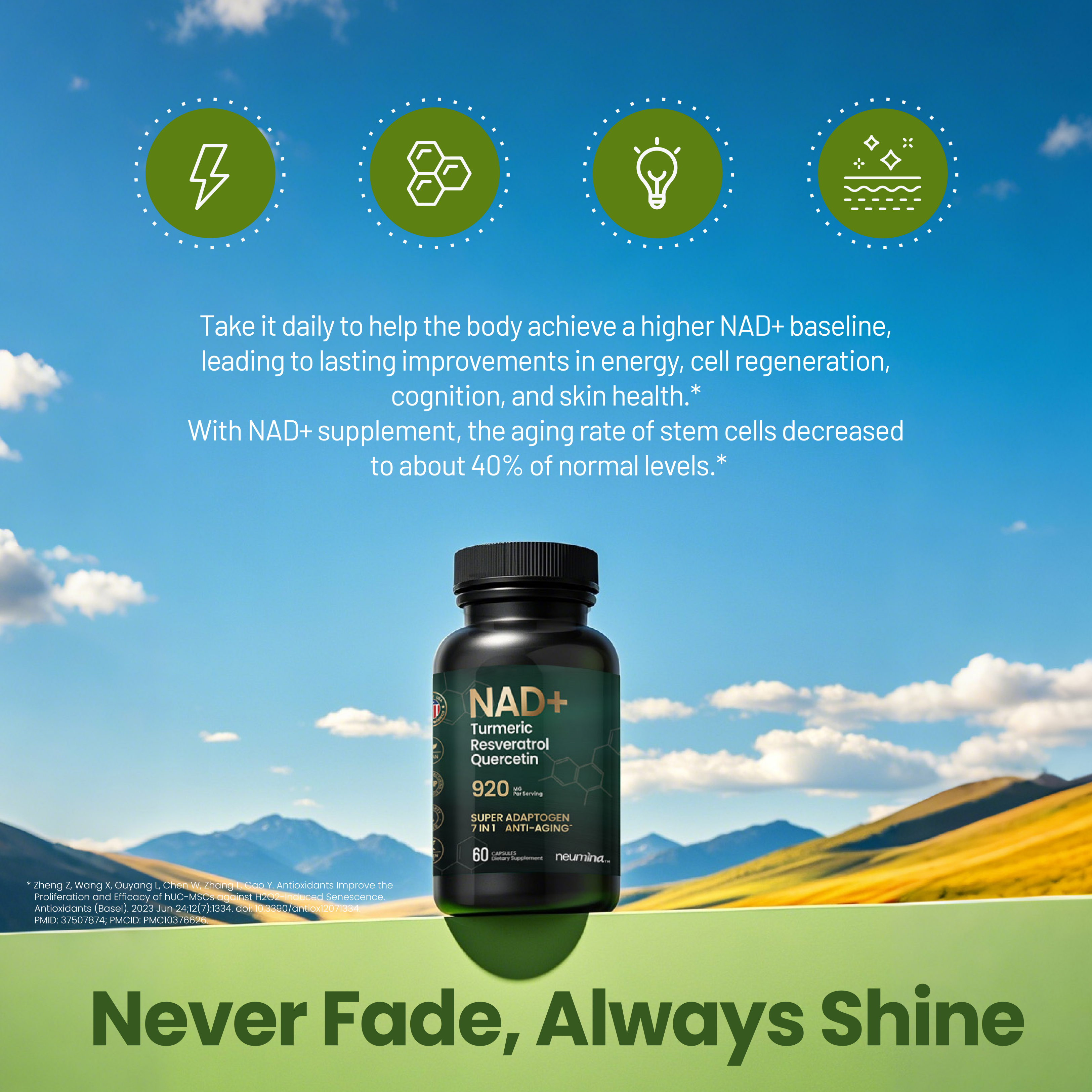 Infographic for Neumina NAD+ Complex titled "Never Fade, Always Shine." Key claim: NAD+ supplementation decreases the aging rate of stem cells to about 40% of normal levels. Supports higher NAD+ baseline, cellular energy, cell regeneration, cognition, and skin health. Features 920mg 7-in-1 formula (Turmeric, Resveratrol, Quercetin). Scientific reference: Zhang Z, et al., Antioxidants (Basel), 2023. Focus: DNA repair and stem cell longevity.