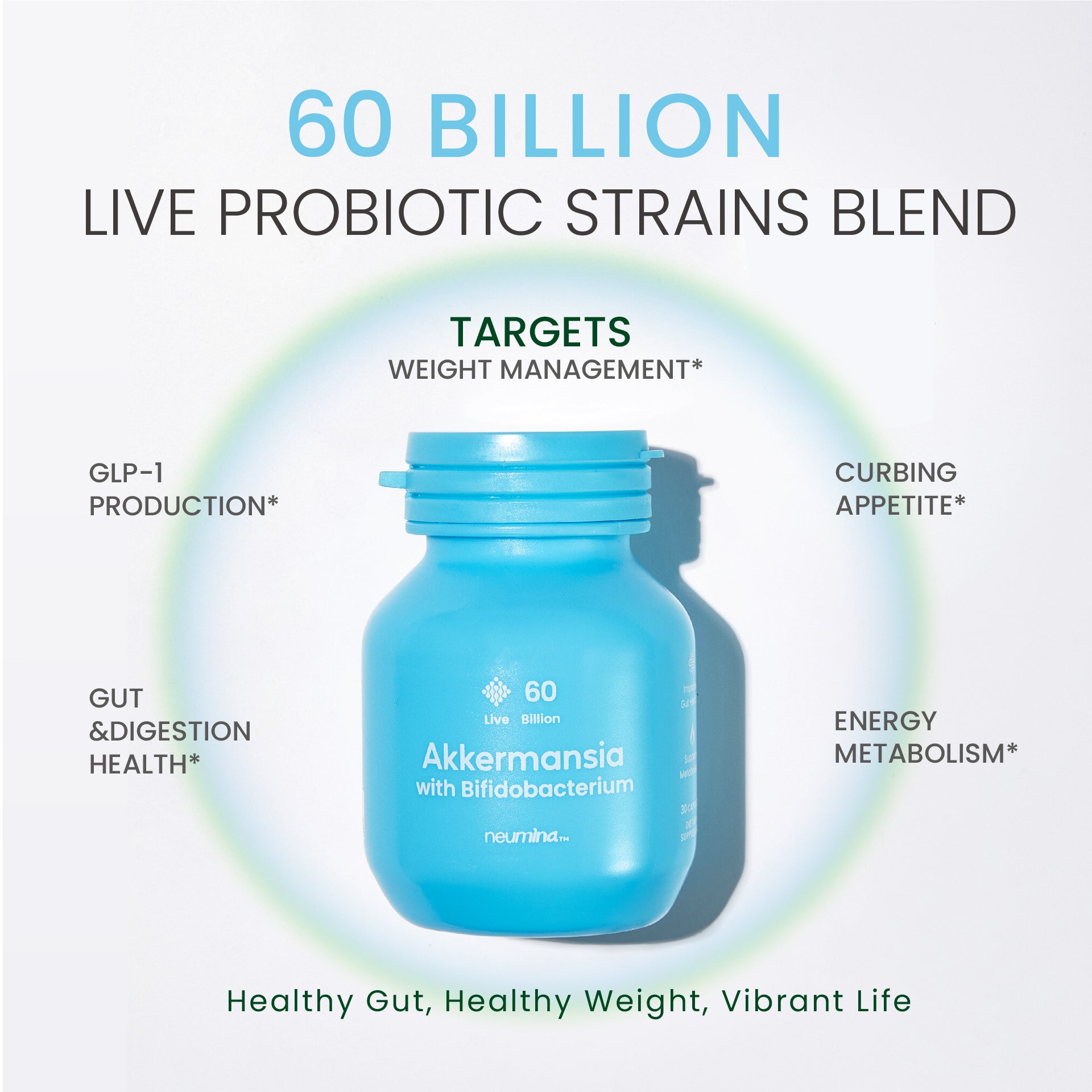 Infographic of Neumina Akkermansia with Bifidobacterium probiotic, highlighting a blend of 60 Billion Live Probiotic Strains. The visual identifies five primary targets: GLP-1 Production, Weight Management, Curbing Appetite, Gut and Digestion Health, and Energy Metabolism. Bottom slogan reads: "Healthy Gut, Healthy Weight, Vibrant Life." Optimized for users searching for high-potency Akkermansia benefits and natural GLP-1 boosters.