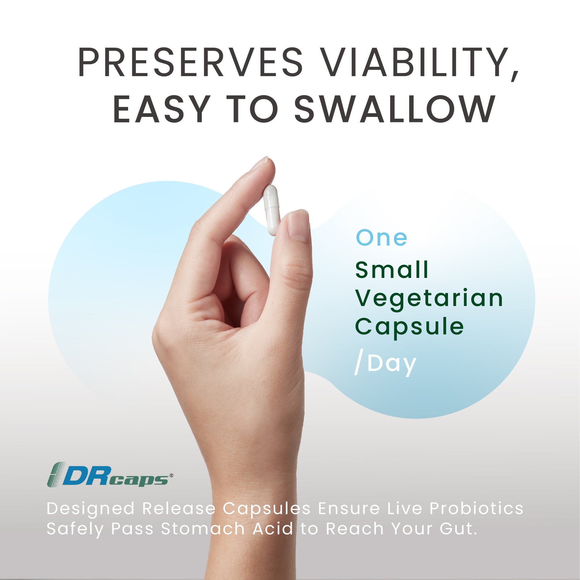 Infographic of Neumina's one small vegetarian capsule per day. Features DRcaps® designed release technology to ensure live probiotics safely pass stomach acid to reach the gut. The visual highlights the "Preserves Viability, Easy to Swallow" benefit, showing a hand holding a small, white capsule. Perfect for users seeking effective probiotic delivery and acid-resistant Akkermansia supplements.