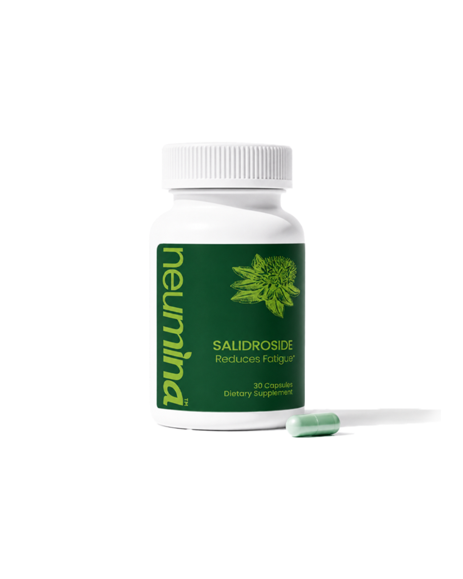 High-Purity 98% Salidroside Rhodiola Adaptogen for Daytime Energy & Mental Clarity Made In USA