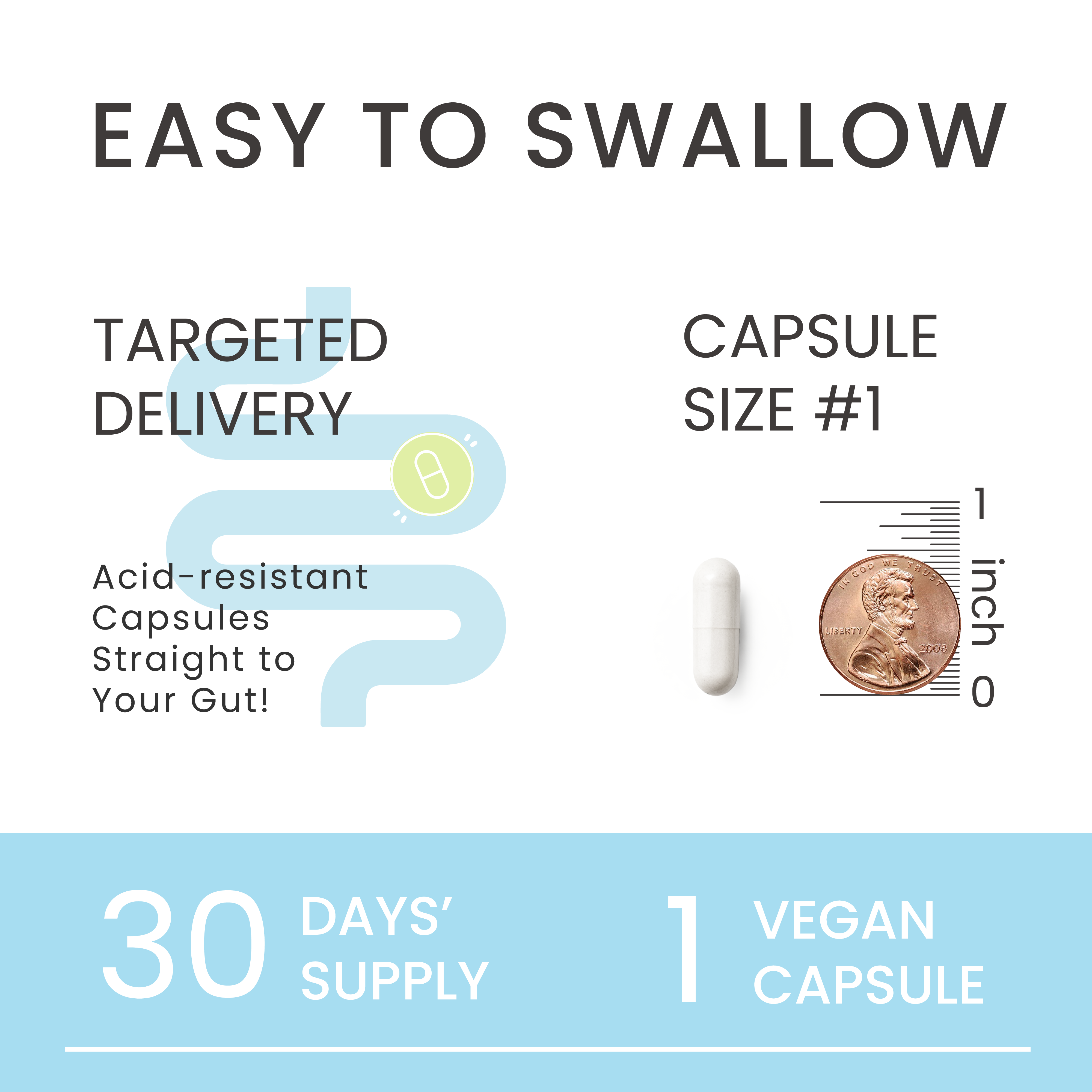 Opam™ 60B Akkermansia with Bifidobacterium Probiotic Capsules