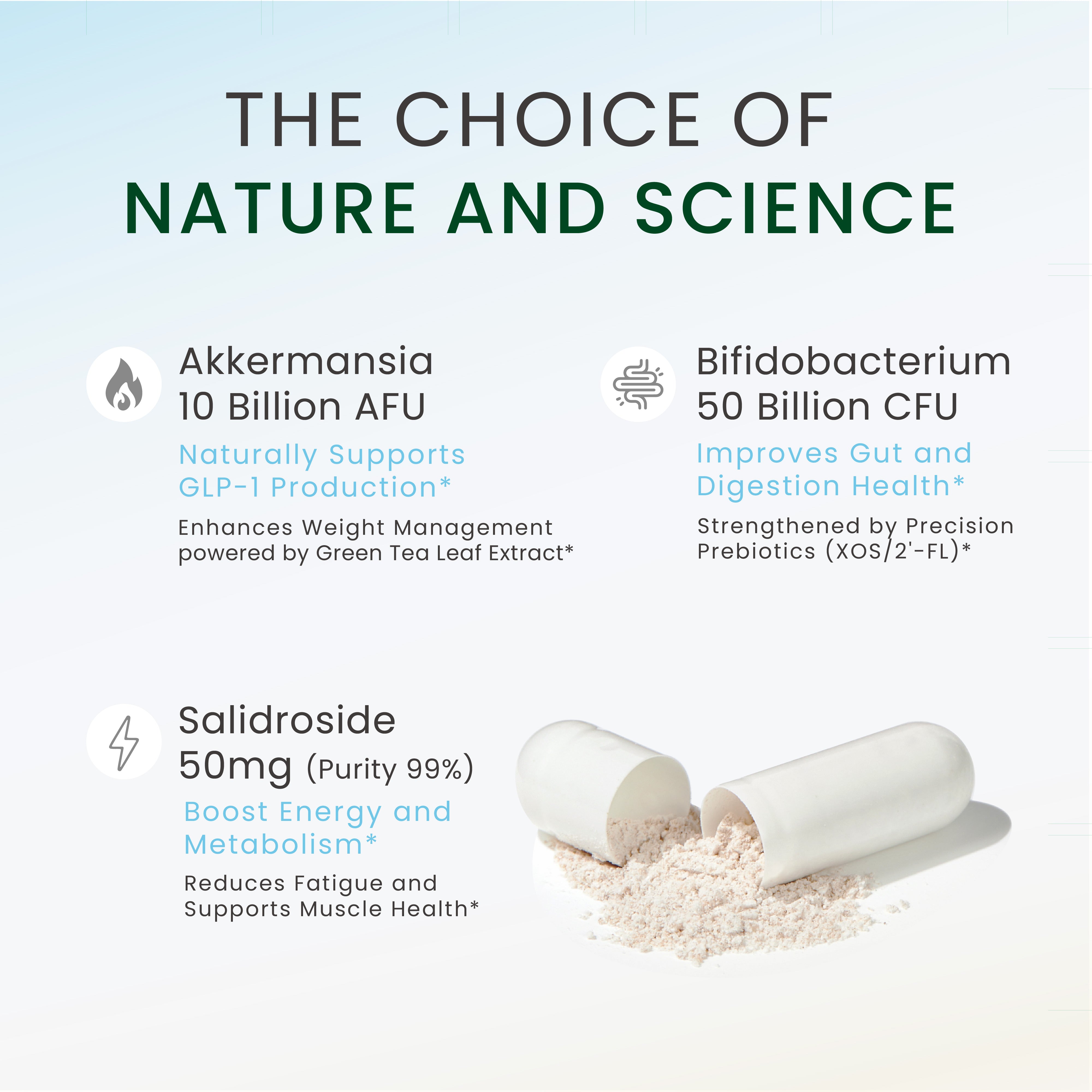 Neumina's triple-action formula breakdown. Visual display of high-potency Akkermansia Muciniphila and Bifidobacterium blend with specialized prebiotics (XOS/2'-FL) for optimal gut colonization. Includes 99% pure Salidroside for metabolic energy and muscle support. A professional visualization of the synergistic ingredients designed for comprehensive health.