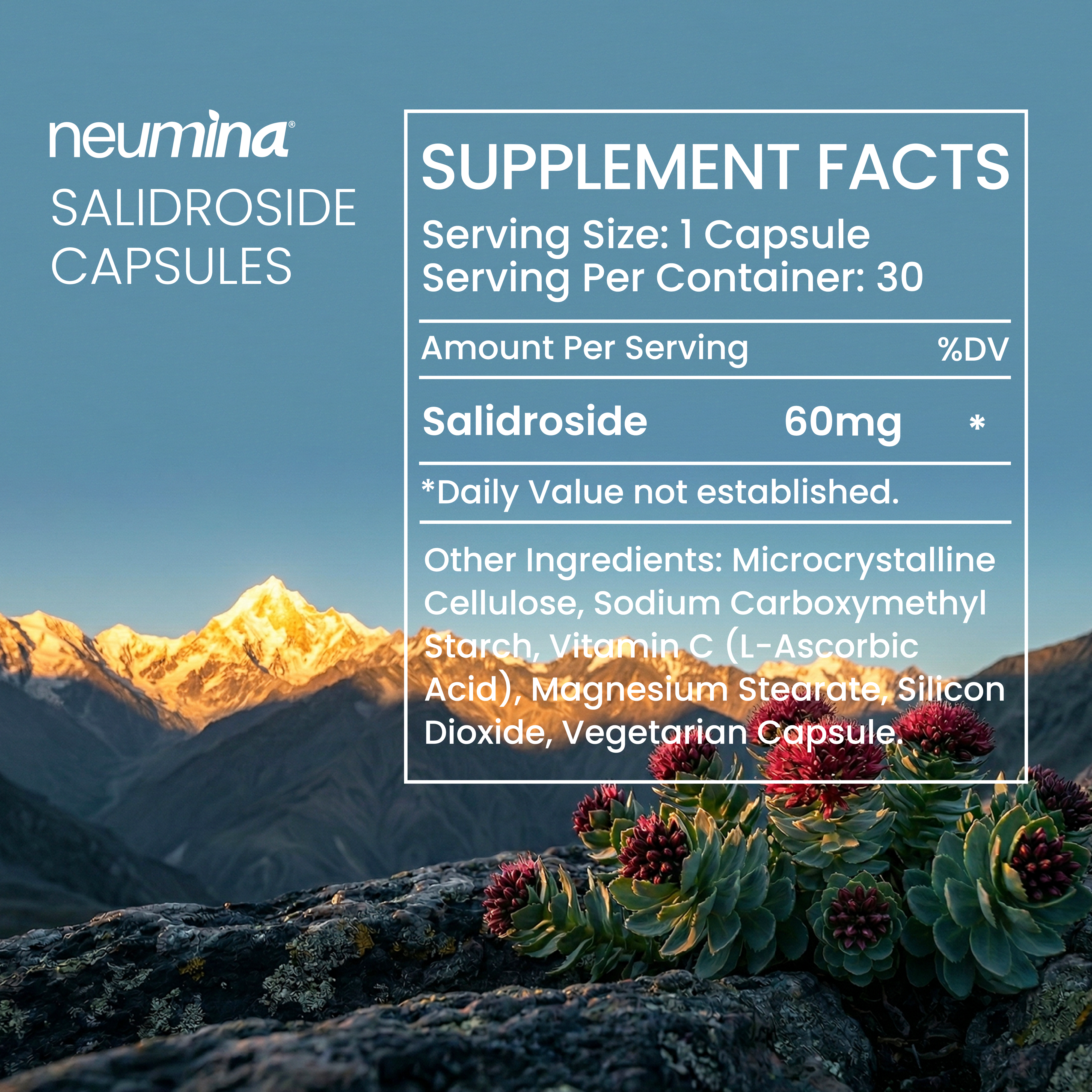 Salidroside Capsules