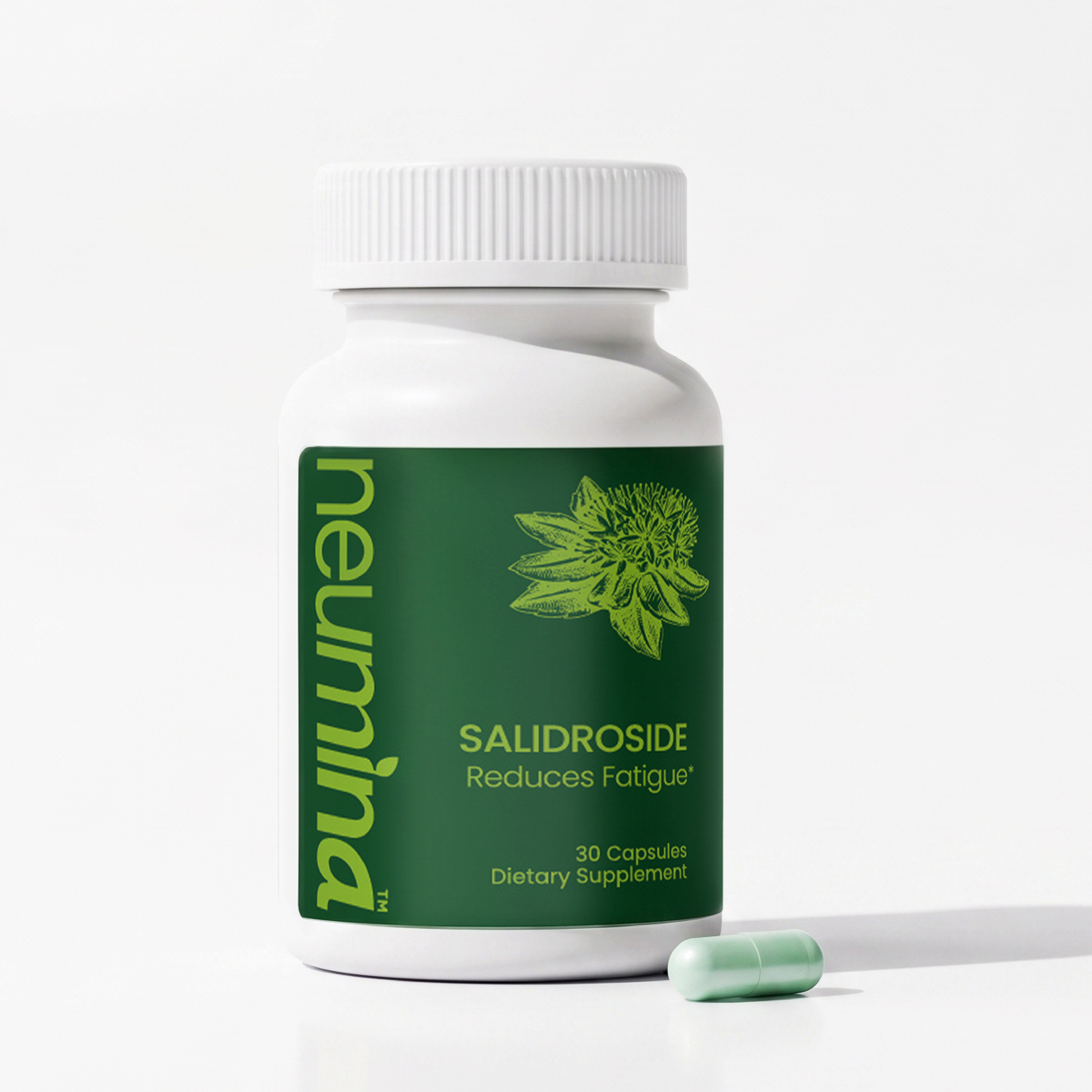 Salidroside Capsules