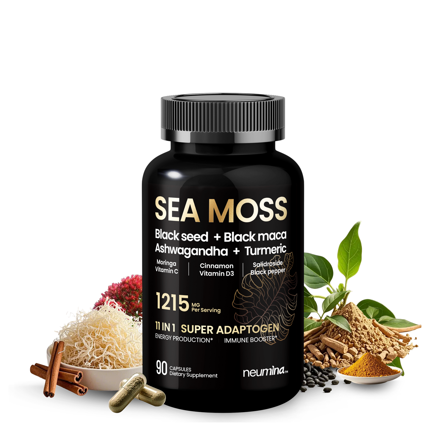 Musgo marino 11 en 1