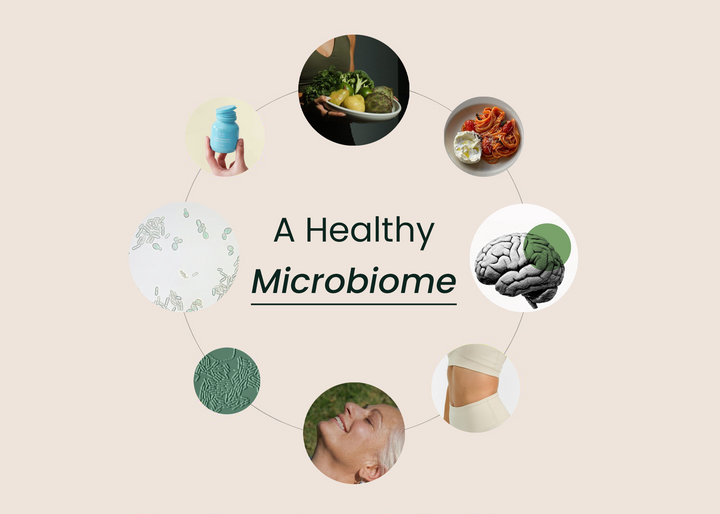 The Microbiome in Balance, And What Happens When It Isn't