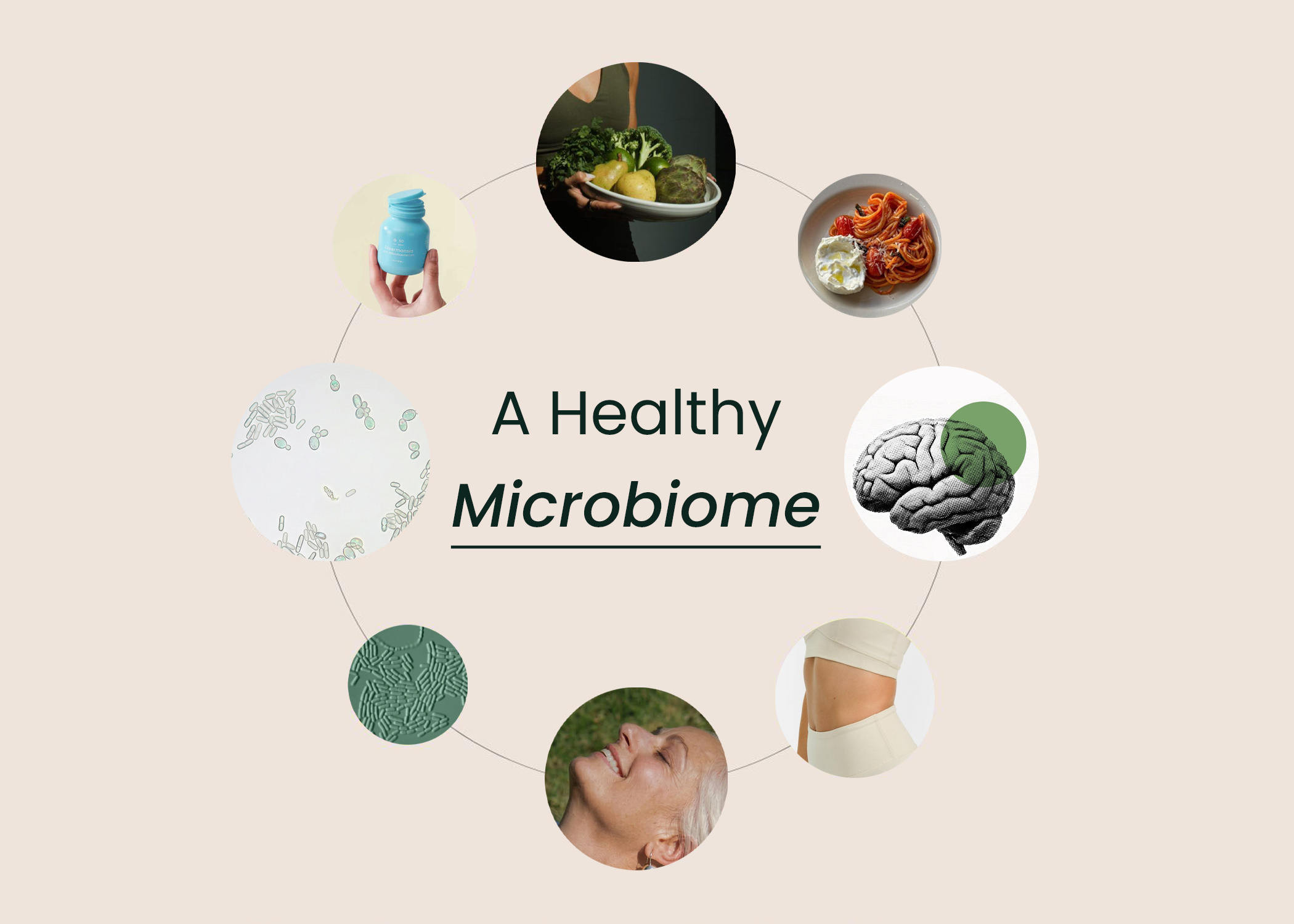 Neumina circular infographic showing elements of a healthy microbiome - gut balance and evidence-based nutrition blog
