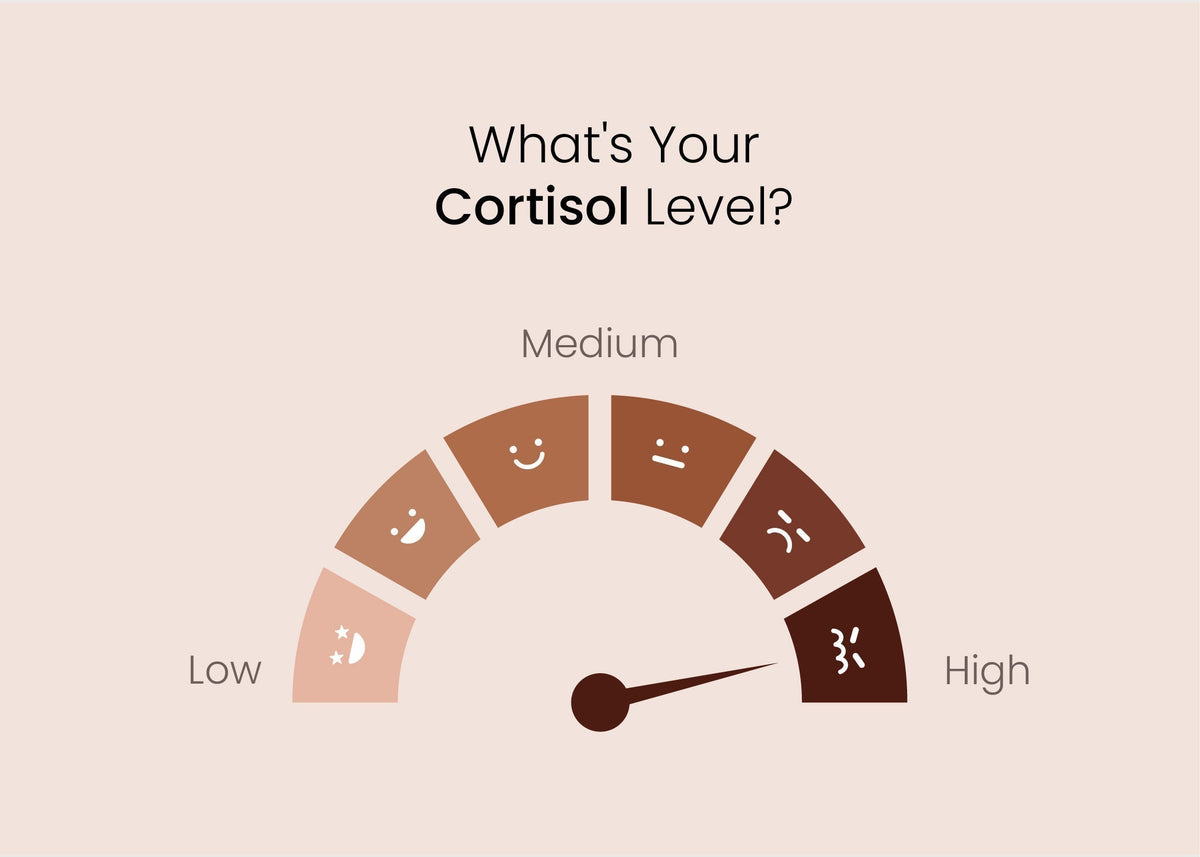 The Truth About Cortisol