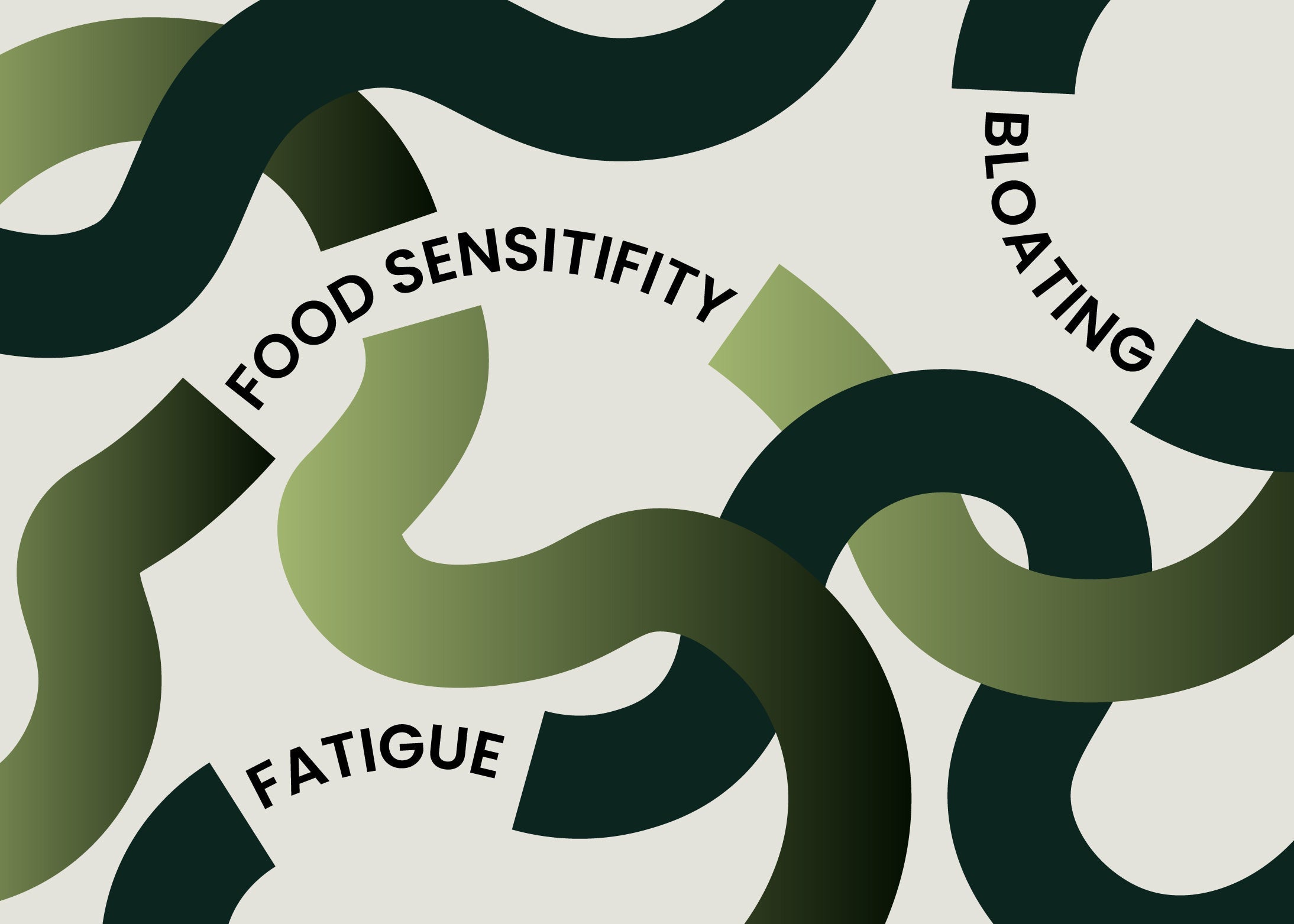 The Hidden Barrier Behind Bloating, Fatigue, and Food Sensitivity