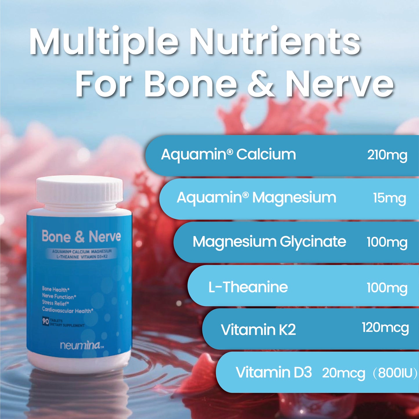 Bone & Nerve Complex