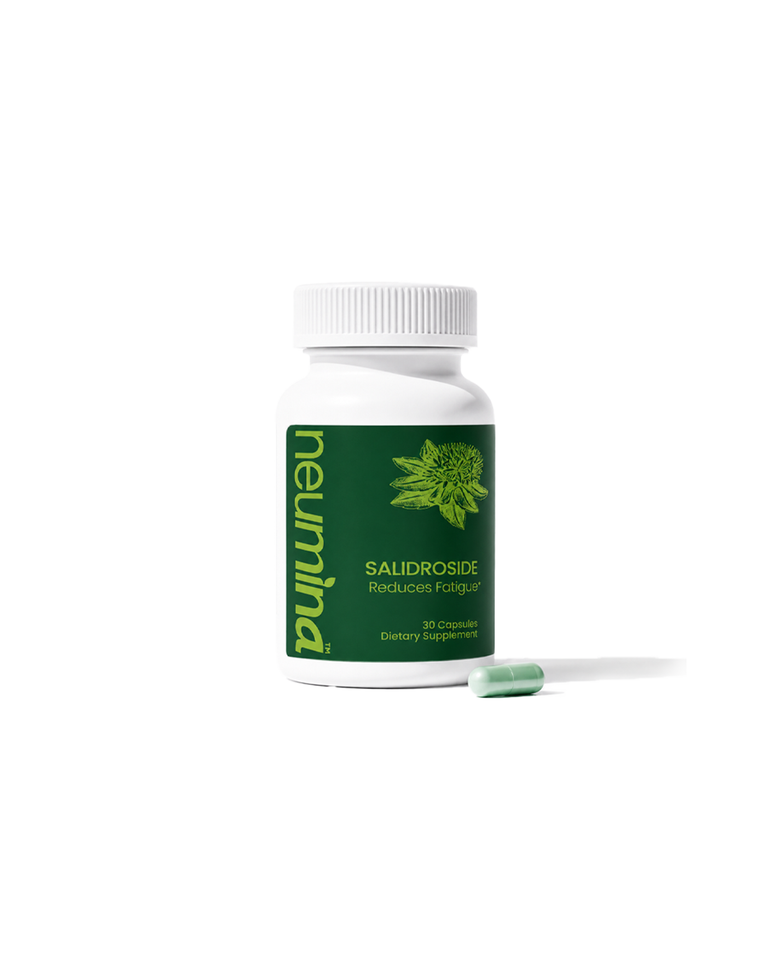 High-Purity 98% Salidroside Rhodiola Adaptogen for Daytime Energy & Mental Clarity Made In USA