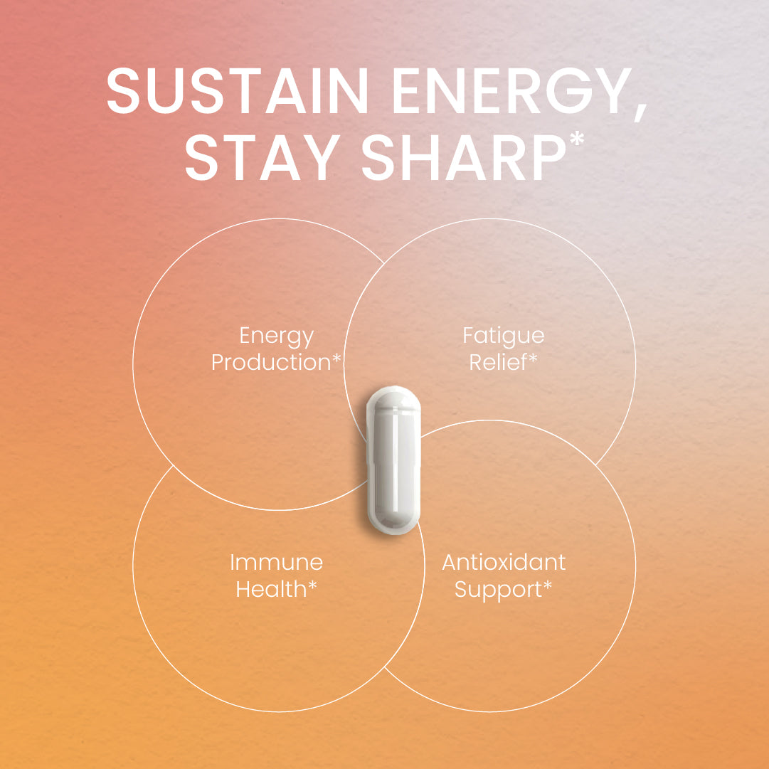 An infographic titled "SUSTAIN ENERGY, STAY SHARP" featuring a single Neumina Women's Energy & Immune capsule. Four intersecting circles detail the core biological benefits: 1) Energy Production, 2) Fatigue Relief, 3) Immune Health, and 4) Antioxidant Support. This visual illustrates the synergistic effect of Taurine, Salidroside, and Turmeric (Curcumin) in providing sustained energy and oxidative stress protection for active women. Designed to support daily focus and resilience.