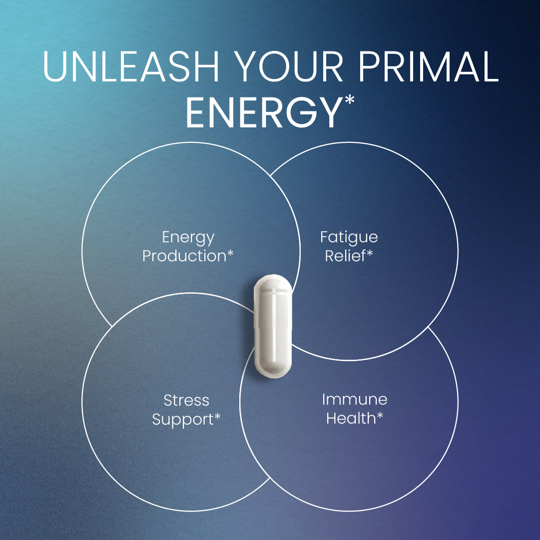 An infographic titled "UNLEASH YOUR PRIMAL ENERGY" featuring a single Neumina Energy & Immune capsule. Four intersecting circles represent the core physiological benefits: 1) Energy Production, 2) Fatigue Relief, 3) Stress Support, and 4) Immune Health. This visual illustrates how the synergistic blend of Taurine, Ashwagandha, and Salidroside works to optimize male vitality and resilience against physical and mental exhaustion.