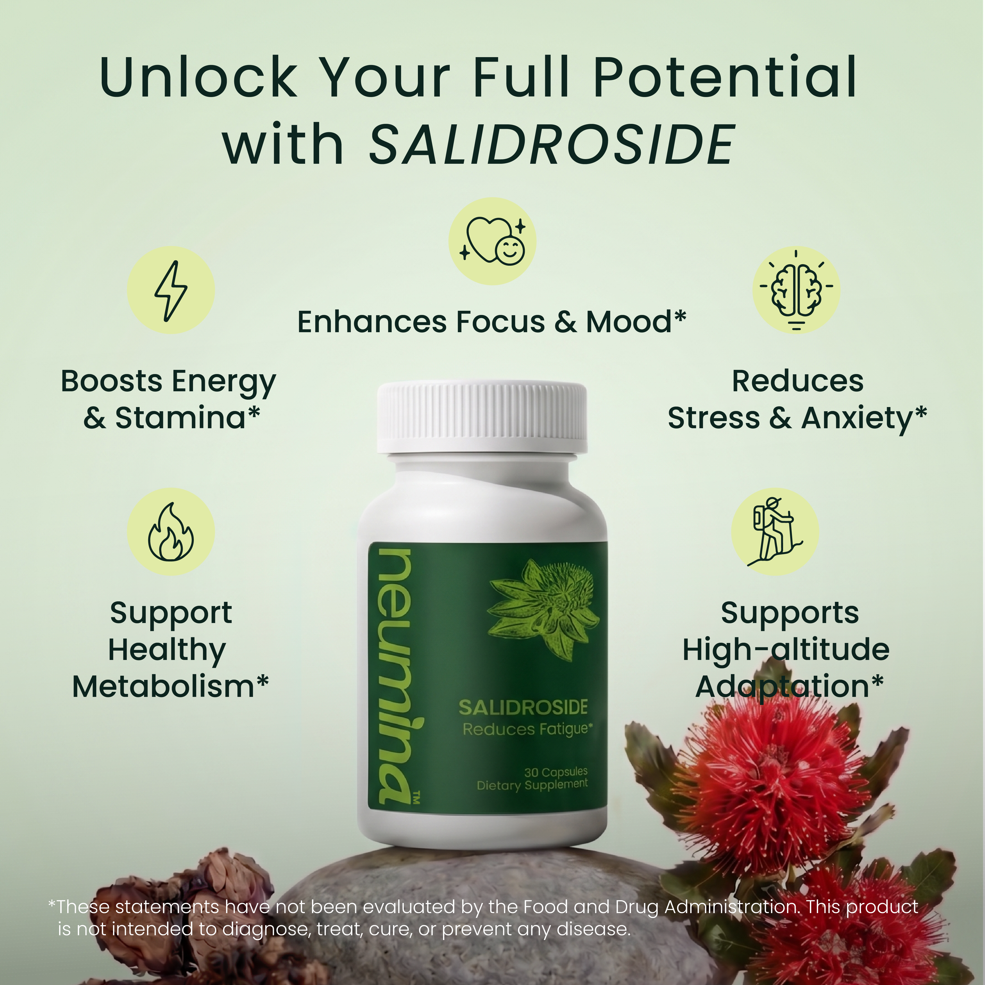 Salidroside Capsules
