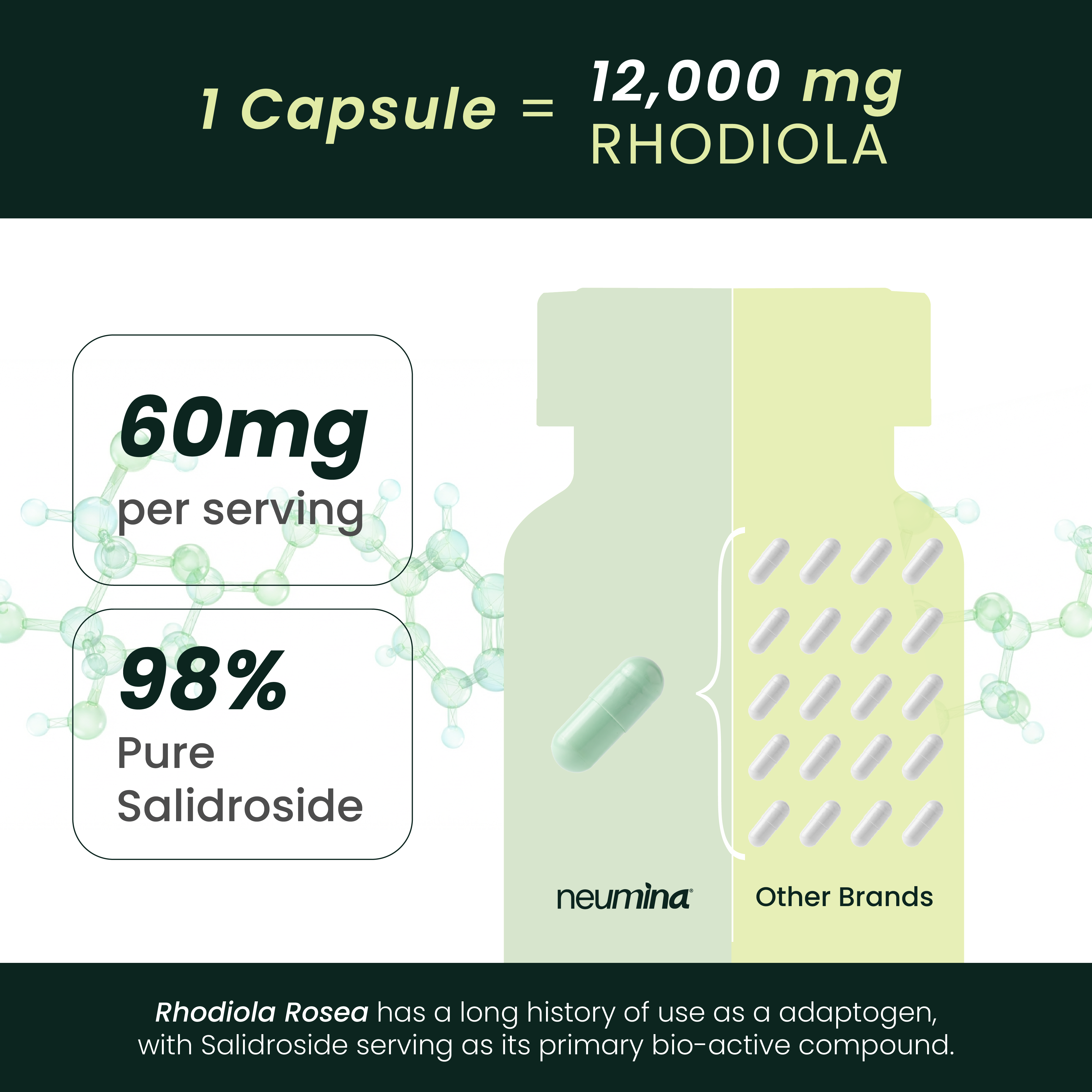 Salidroside Capsules