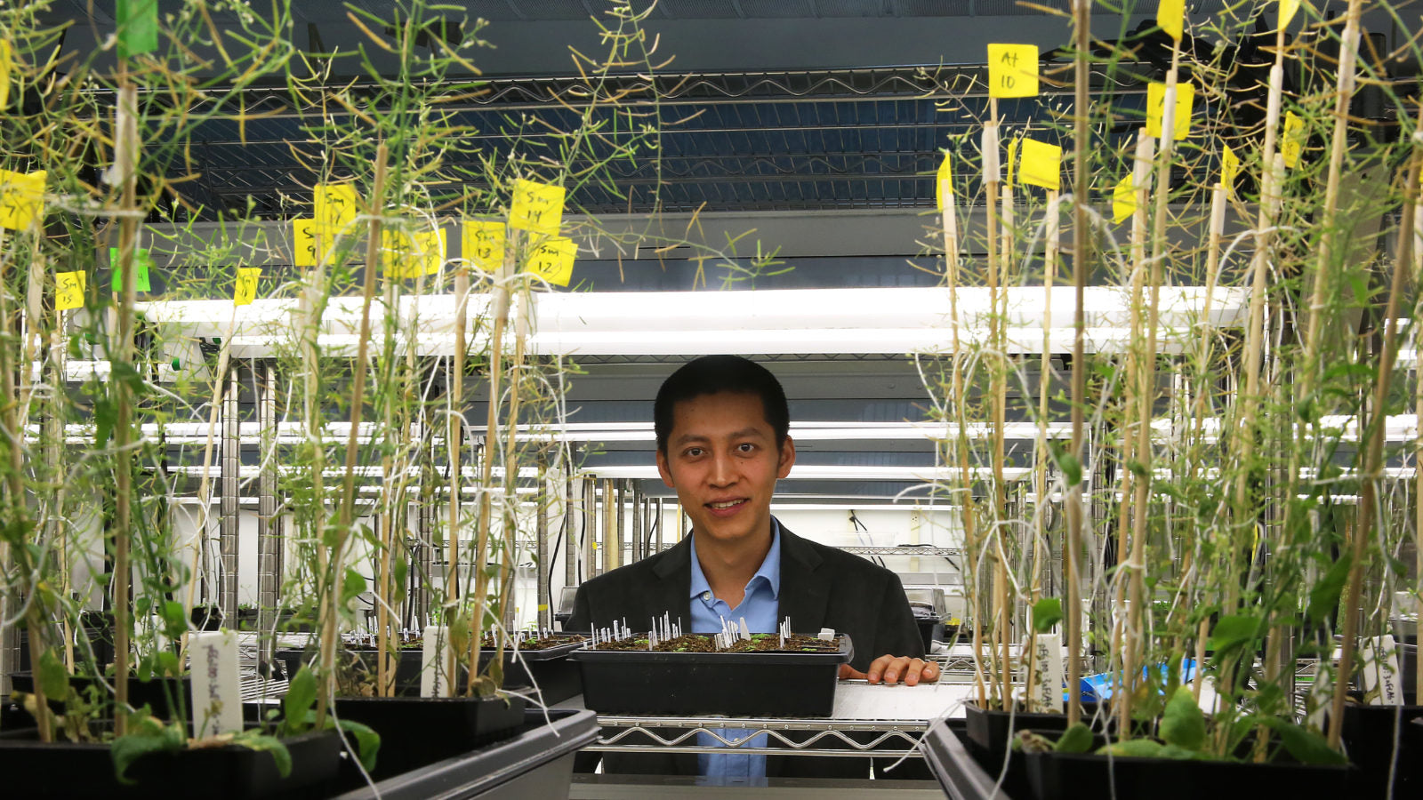 Neumina Co-Founder Dr. Jing-Ke Weng researching botanicals in lab - precision replication and MIT research-backed pure supplement ingredients